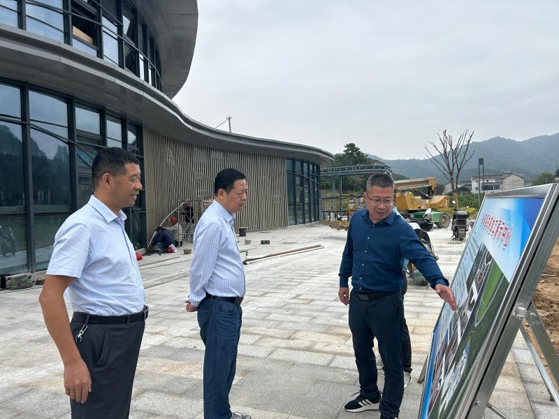 吴峰前往官埠桥镇调研督导工作