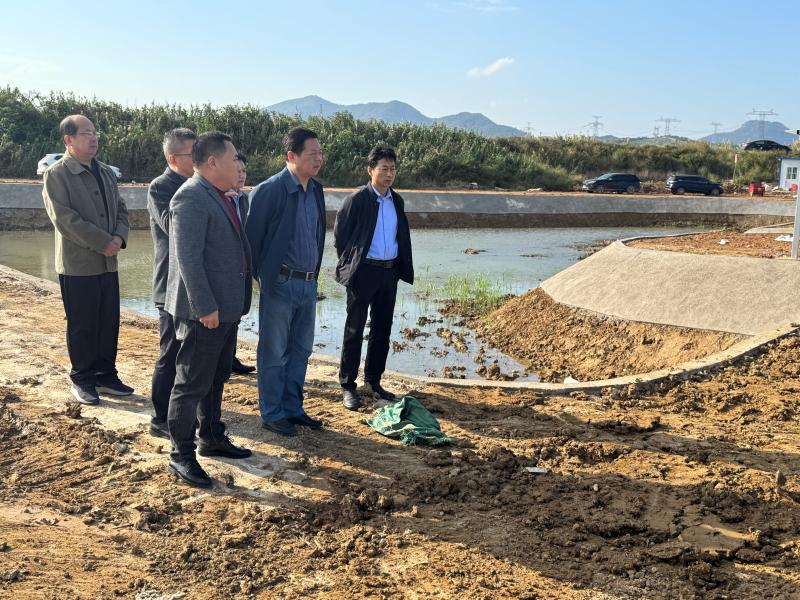 吴峰调研督导软弱涣散村党组织整顿等工作