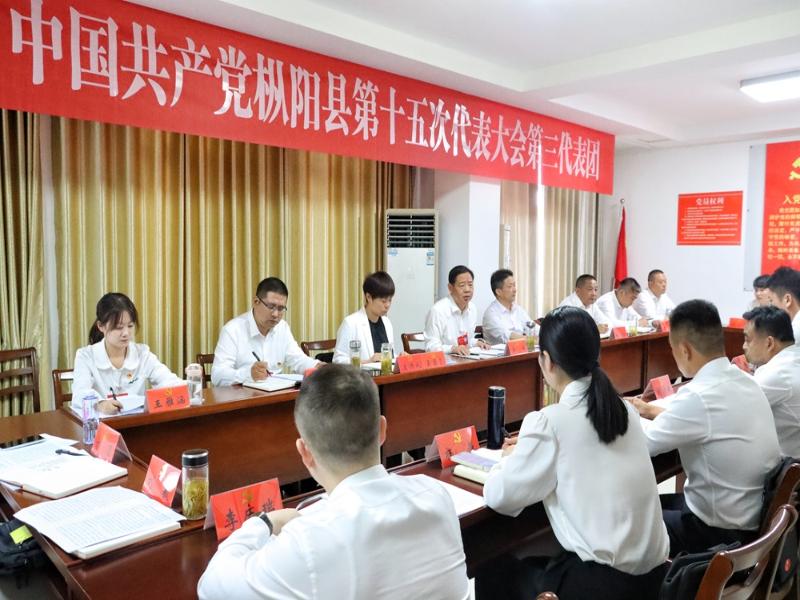 吴峰参加县第十五次党代会第三代表团讨论