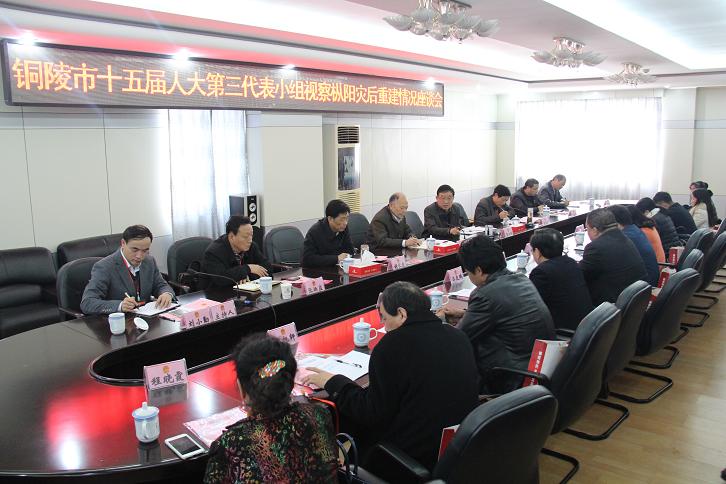 （图）枞阳县人大常委会组织在枞的部分市人大代表开展专题视察
