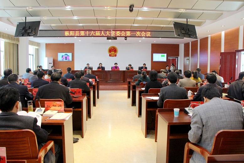 （图）枞阳县第十六届人大常委会第一次会议召开